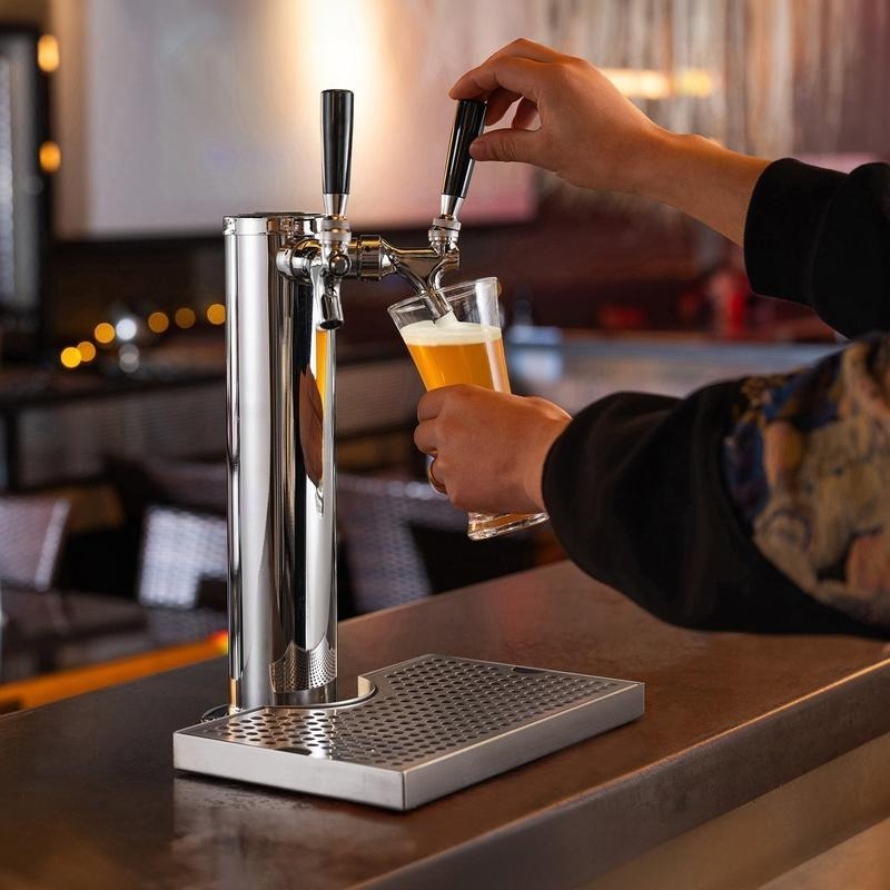 Kegerator Tower Kit, Dual Taps - Beer Wine Kit 评论和价格
