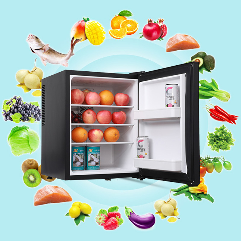 Mini Fridge Cooler 40L Refrige - Wine Beer Cooler Fridge 评论和价格