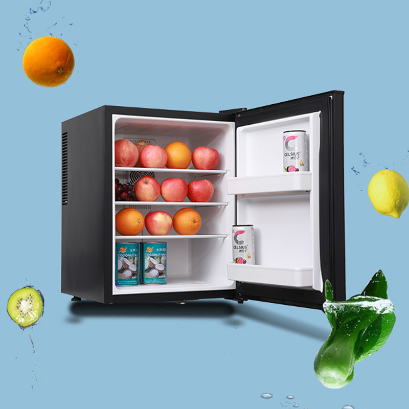 Mini Fridge Cooler 40L Refrige - Wine Beer Cooler Fridge 评论和价格