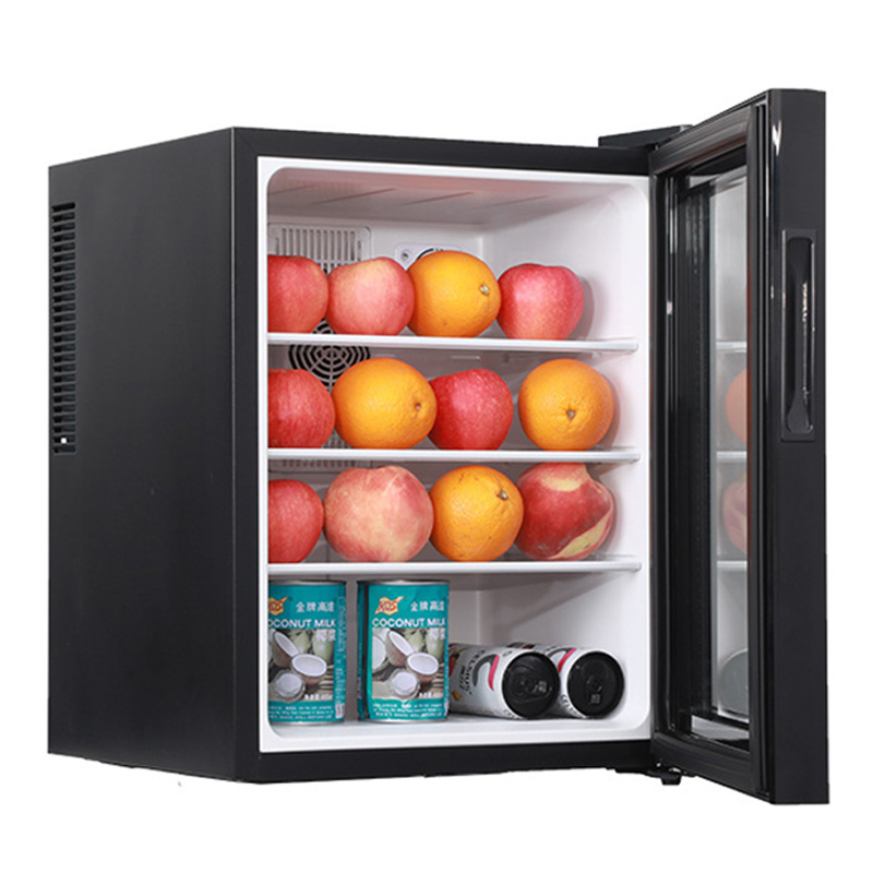 Mini Fridge Cooler 40L Refrige - Wine Beer Cooler Fridge 评论和价格
