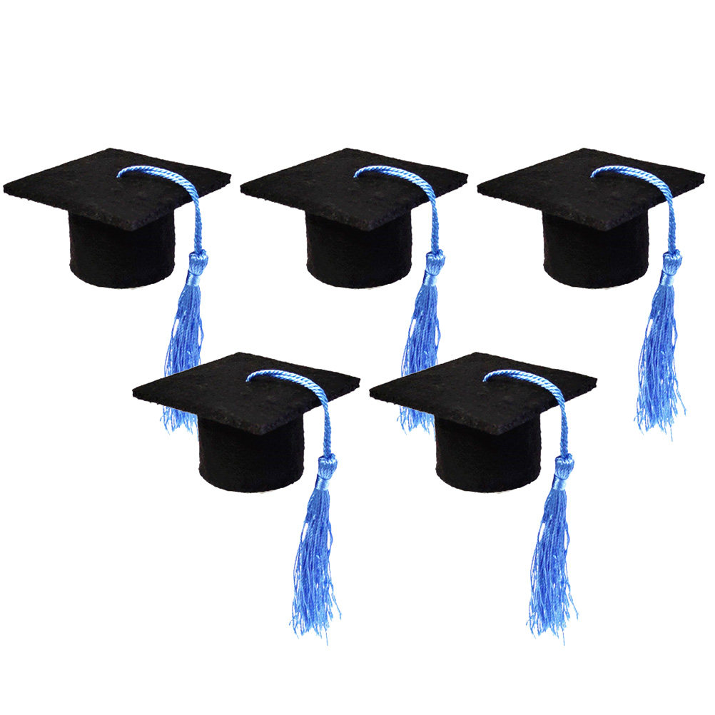 5Pcs Doctoral Hat Decoration M - Wine Beer Hat 评论和价格